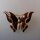 Neugablonz: Brosche Schmetterling (35973)
