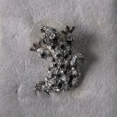 Neugablonz: Knopfloch-Brosche Eidechse Strass (36111)