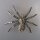 Neugablonz: Brosche Spinne Strass um/ab 1950 (36430)