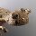 Neugablonz: Grosse Brosche Frosch Unke ab/um 1970 (36437)